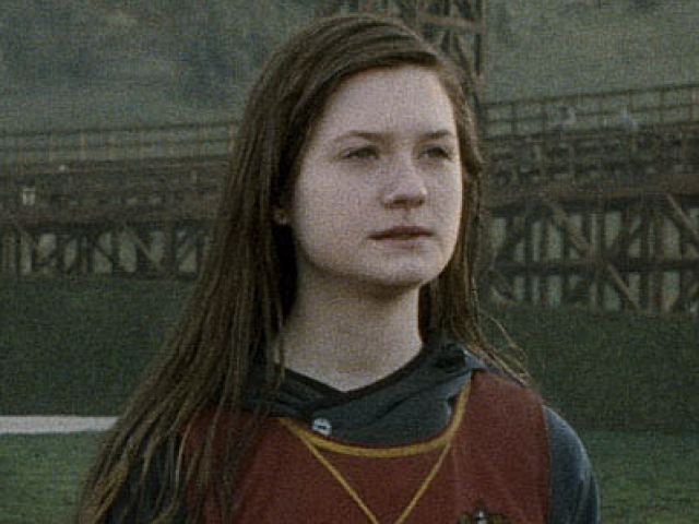 Equipa de Quidditch, seeker