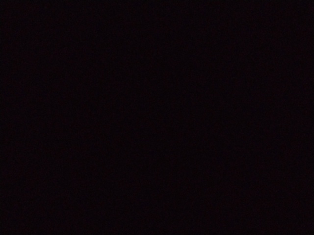 Não terei filhos