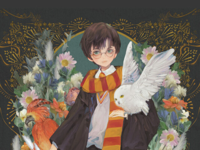 Você conhece verdadeiramente Harry Potter?