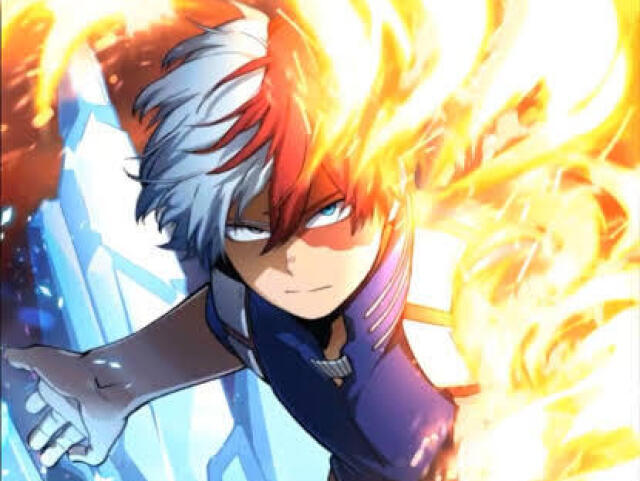 Shoto Todoroki