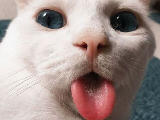 :3