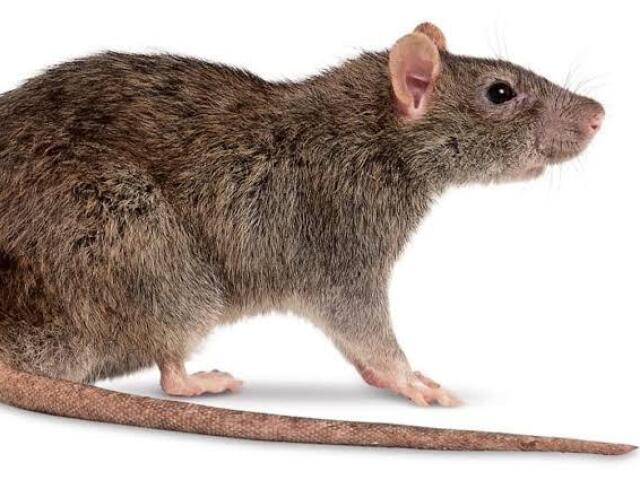 2/10