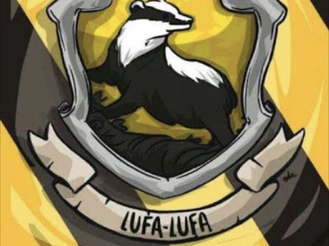 Sua casa é Lufa-lufa