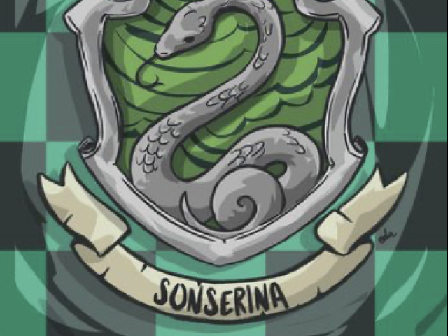 Sua casa é Sonserina