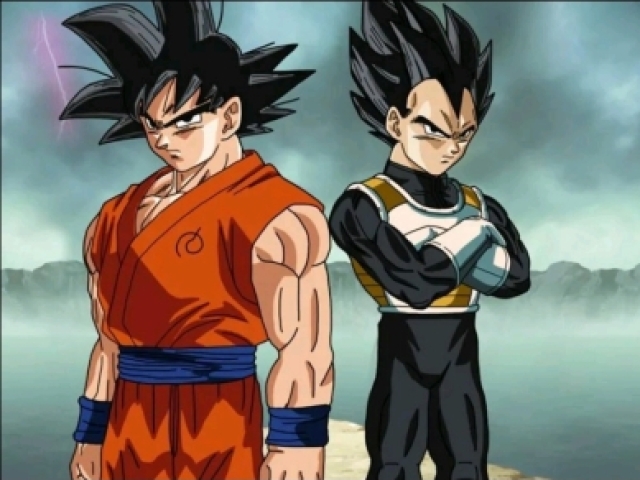 Você é mais o Goku ou Vegeta?