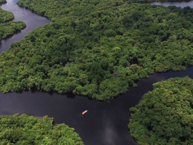 Floresta amazônica