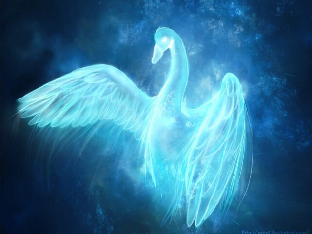 Cisne