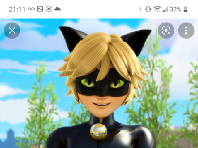 Cat Noir