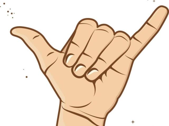 Obrigado por fazer o quiz!!
