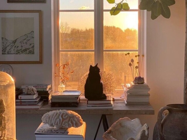 Sᴜᴄᴇssᴏ