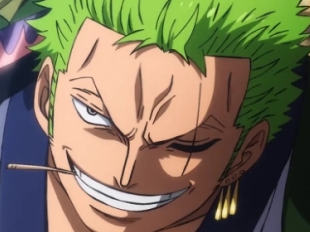 Zoro Solador