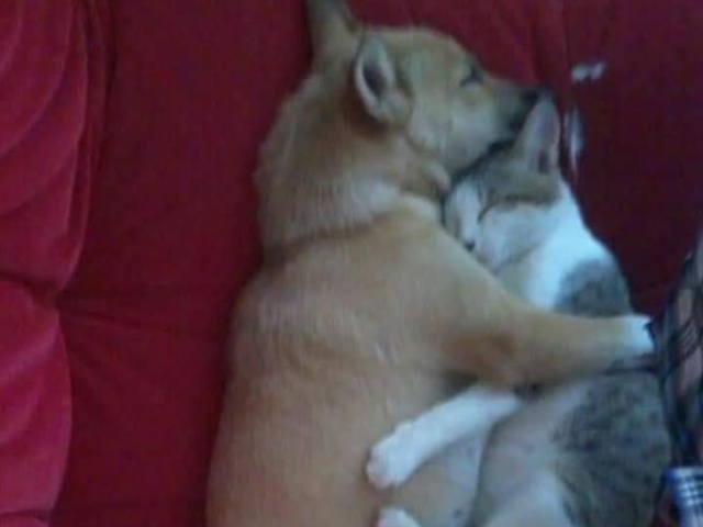 Os dois