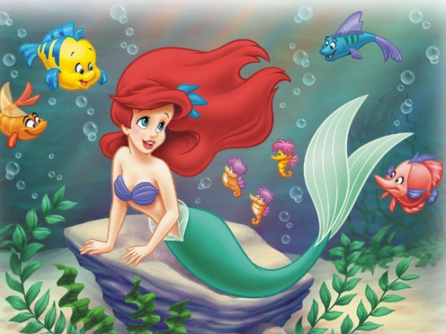 Ariel🐚