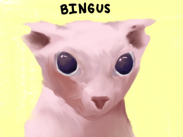 BINGUS