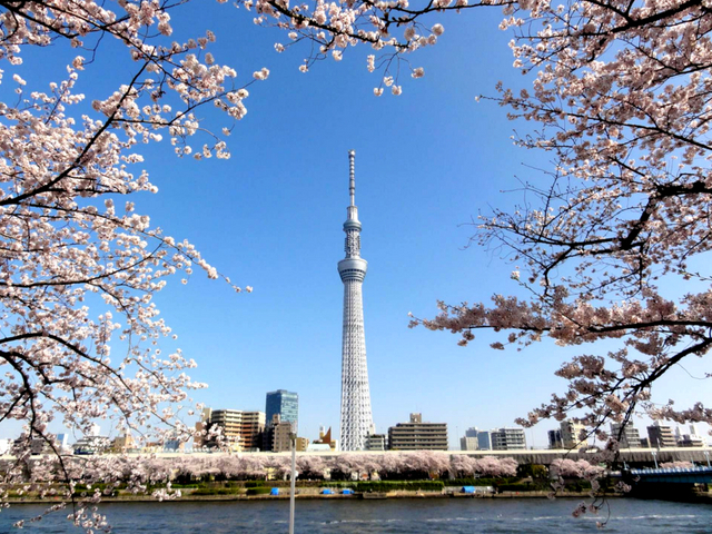 Tokyo Skytree