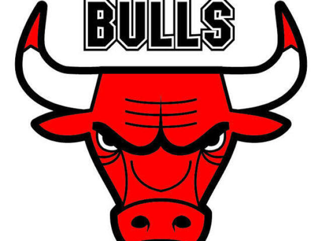 Chicago Bulls