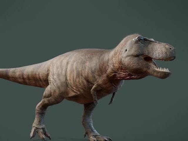 T.rex