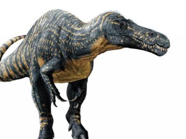 Suchomimus