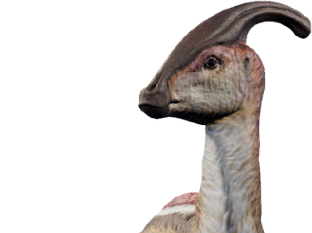 Parasaurolophus