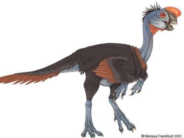 Oviraptor