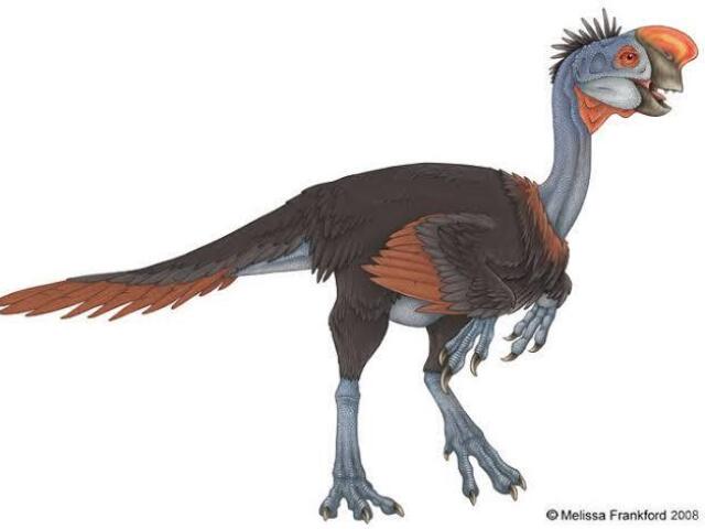 Oviraptor