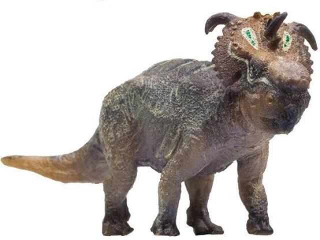 Pachyrhinosaurus