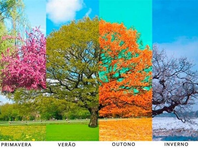 Qual estação do ano você é?