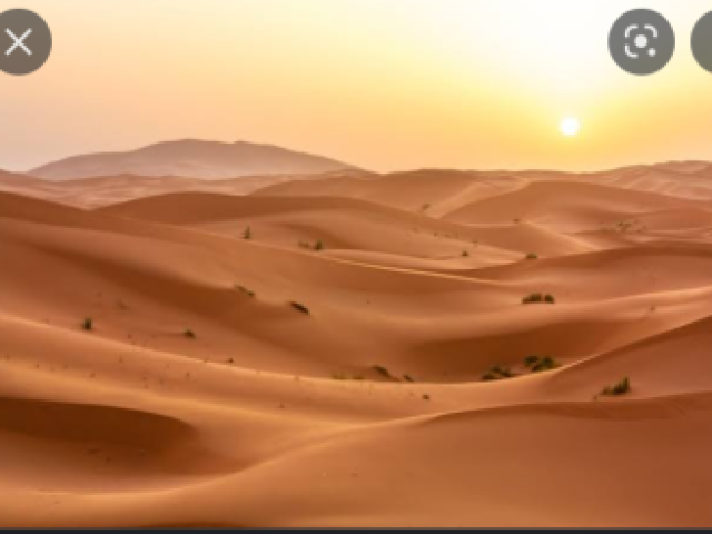 Deserto