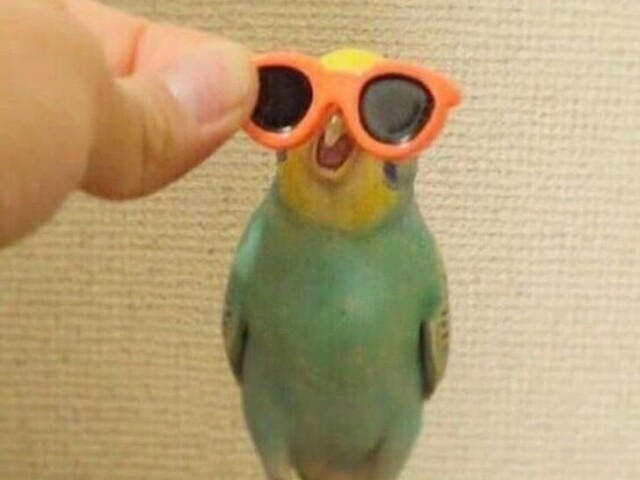 Acerte o youtuber!