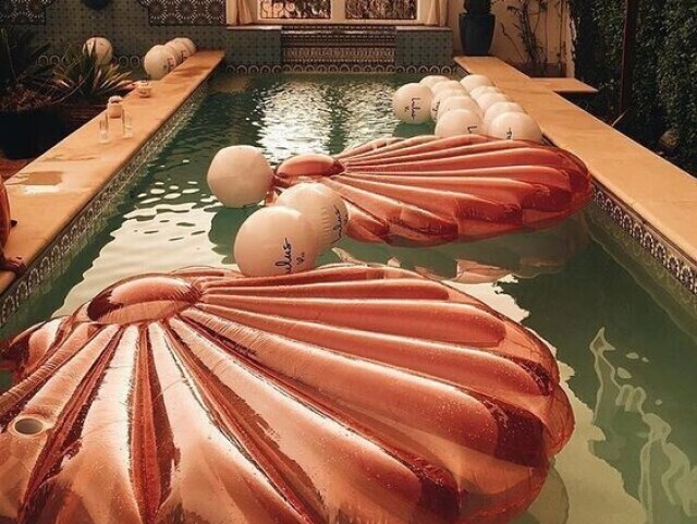 Festa Sensacional