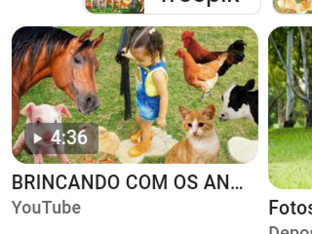 Brincar com os animais