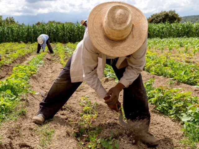 Agricultura Familiar de subsistência