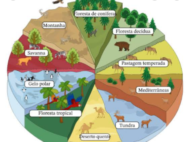 Se você tivesse uma respiração para um habitat qual séria?