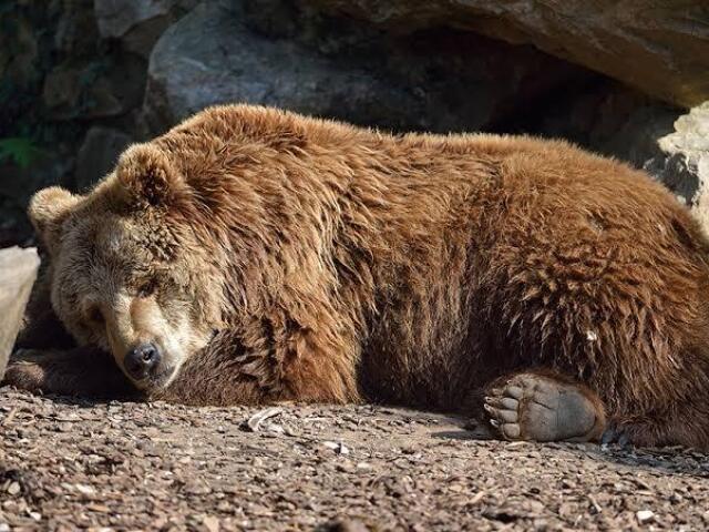 Não dorme nadinha..