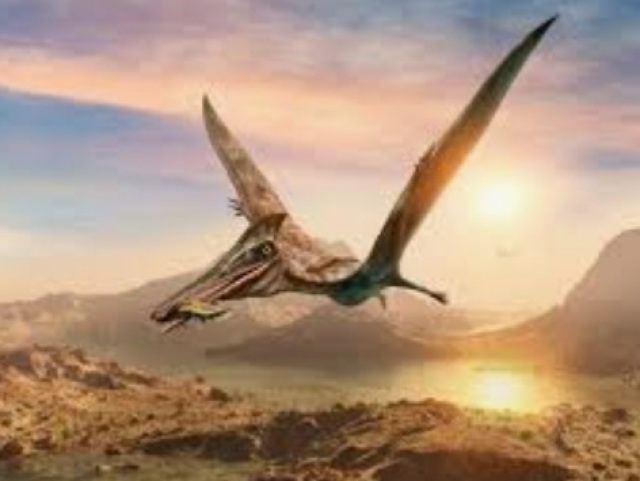 Pterodáctilo