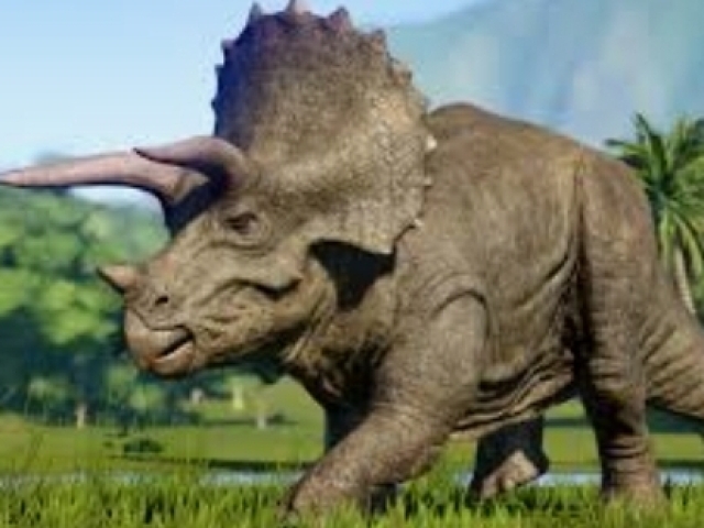 Triceratops