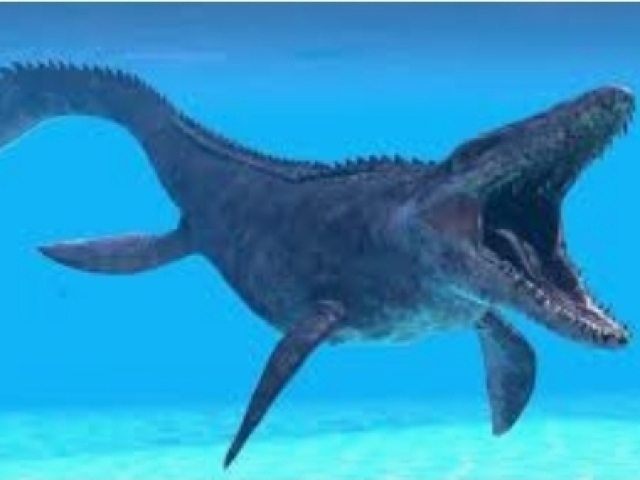 Mosassauro