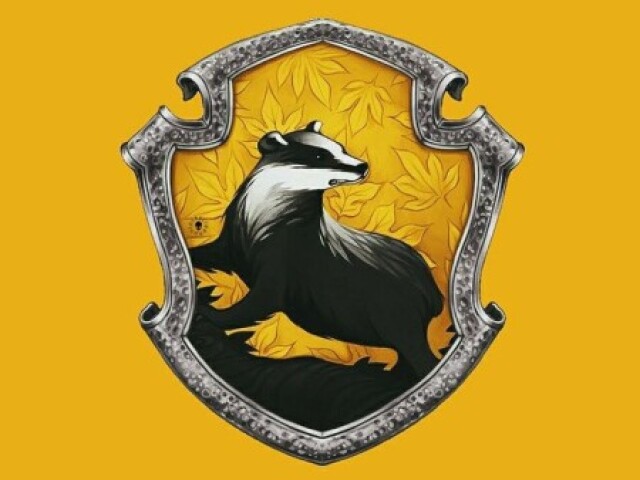 Você é da Lufa-lufa💛