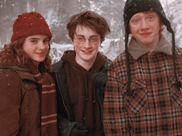 Você conhece Harry potter?