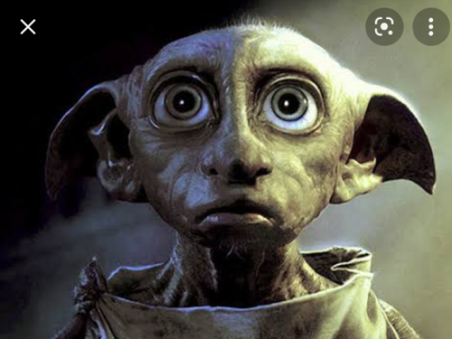 Dobby