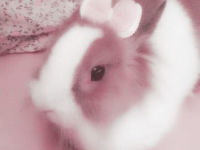 Beatriz
