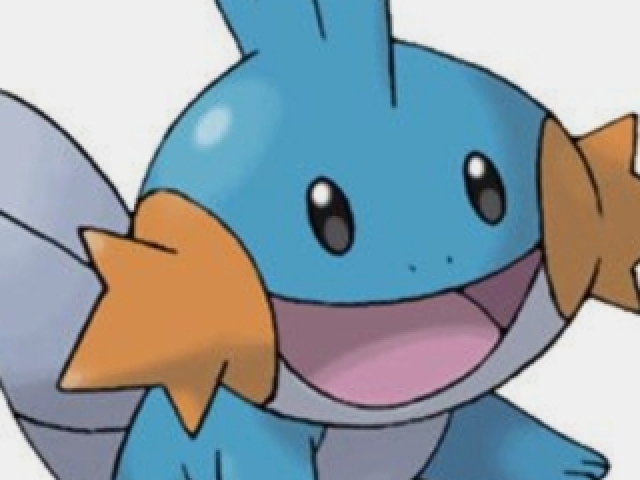 Mudkip