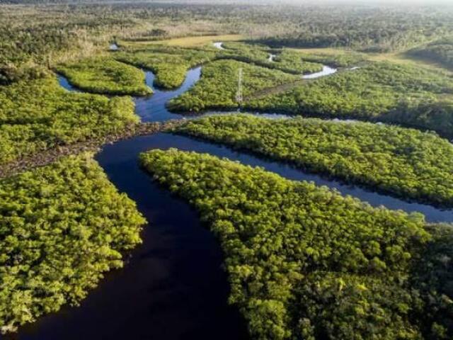 Amazonas