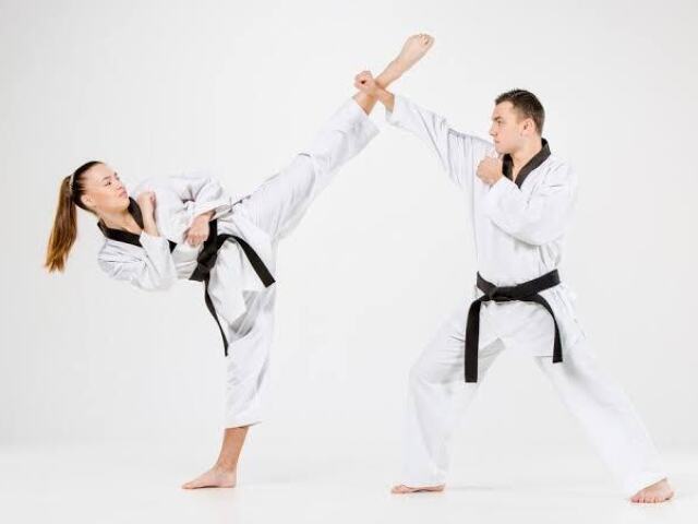 Karate:
Curta distância com seus ataques baseados nas suas próprias habilidades na arte