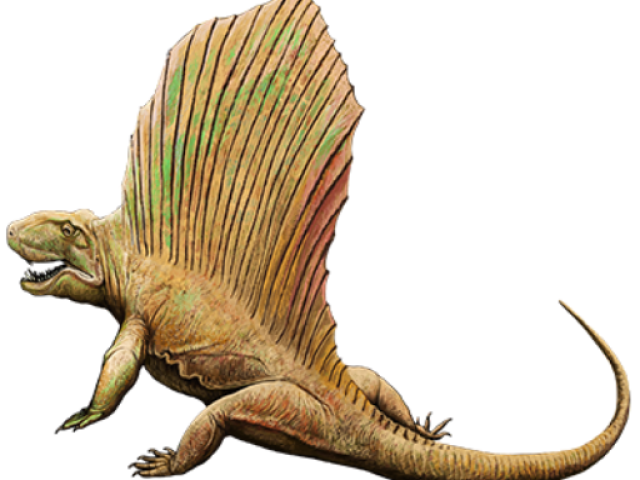 Dimetrodon