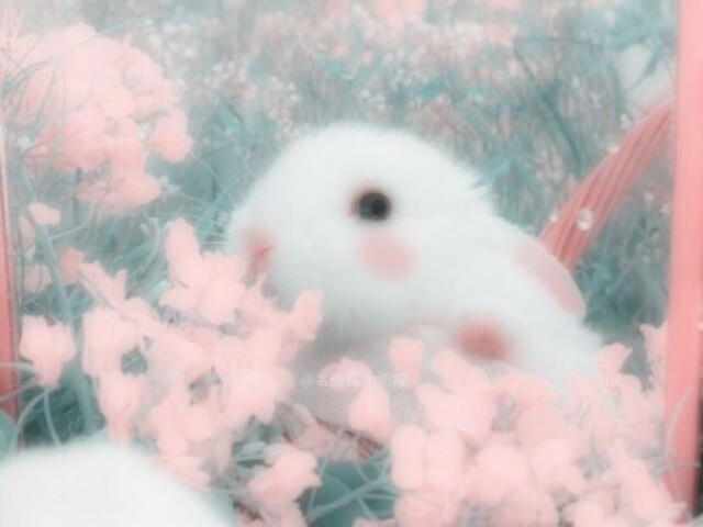 Kawaii