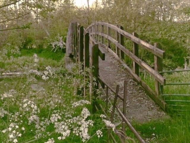 pelo caminho que tem uma ponte e flores ao redor