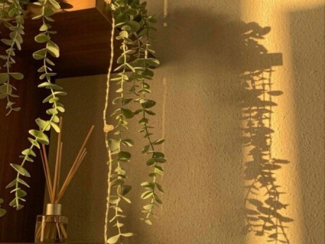 Mala aesthetic