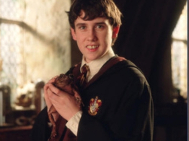 🗡 Neville Longbottom 🗡