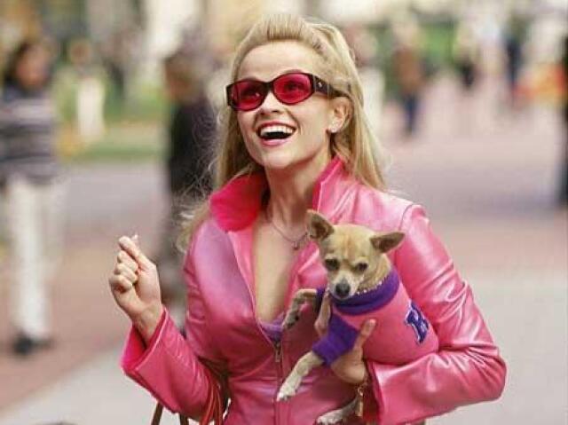 Elle Woods - Legalmente Loira